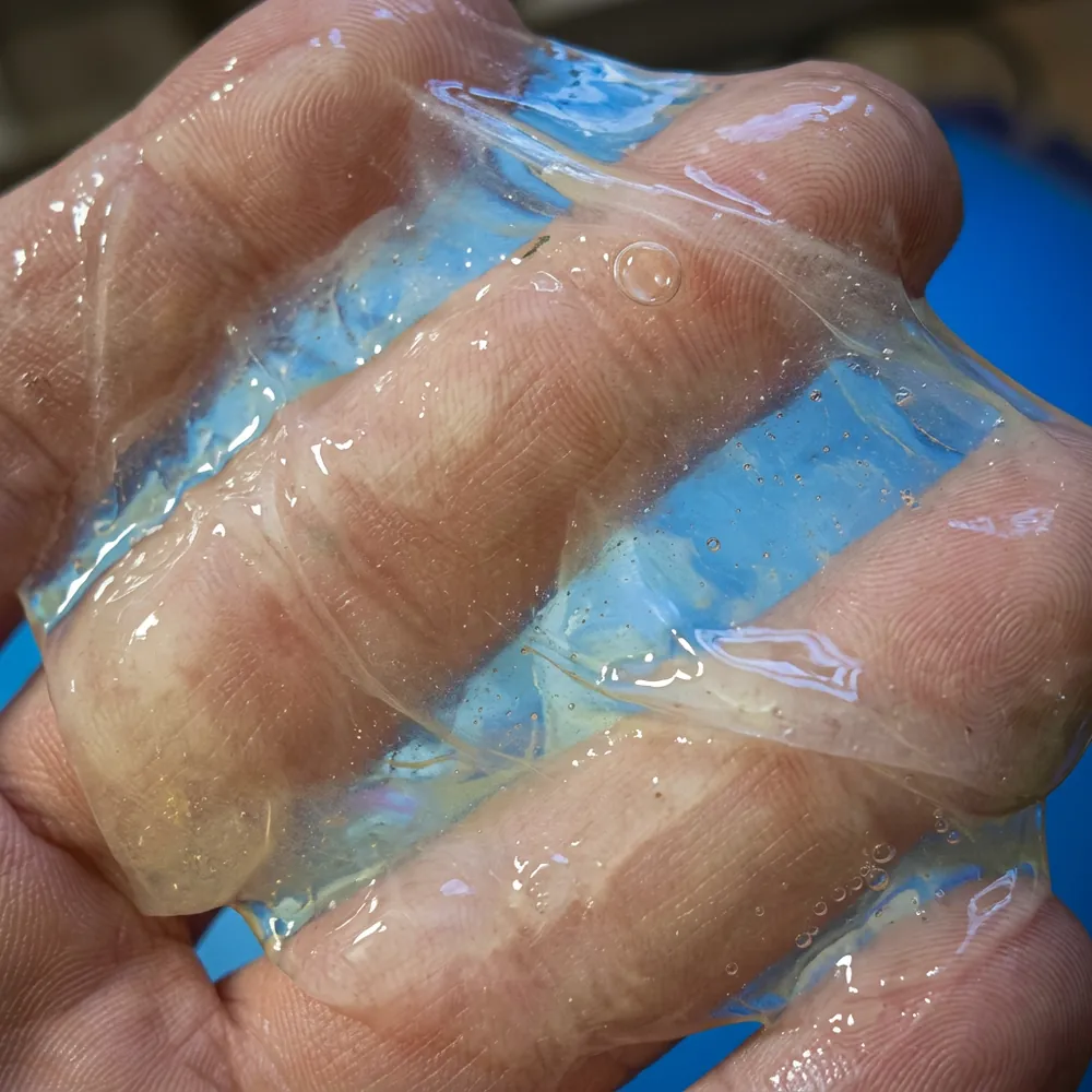 Bacterial biofilm — the slimy layer that shields pathogens